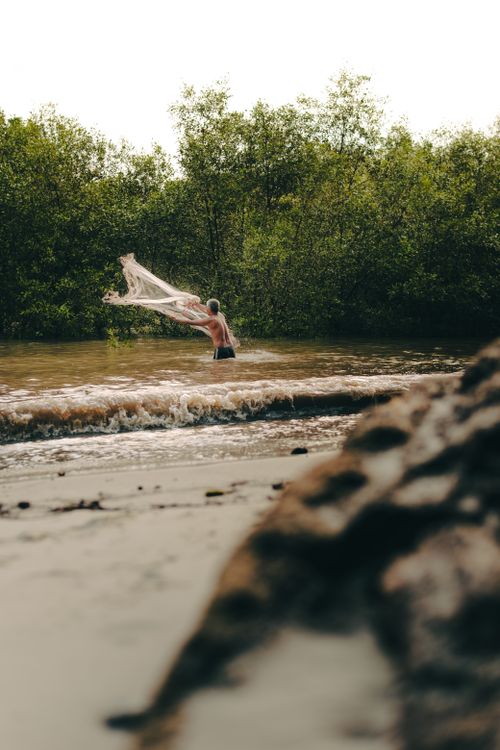 Free A Malaysian fisherman casting his net in a tranquil river near Banting. Stock Photo