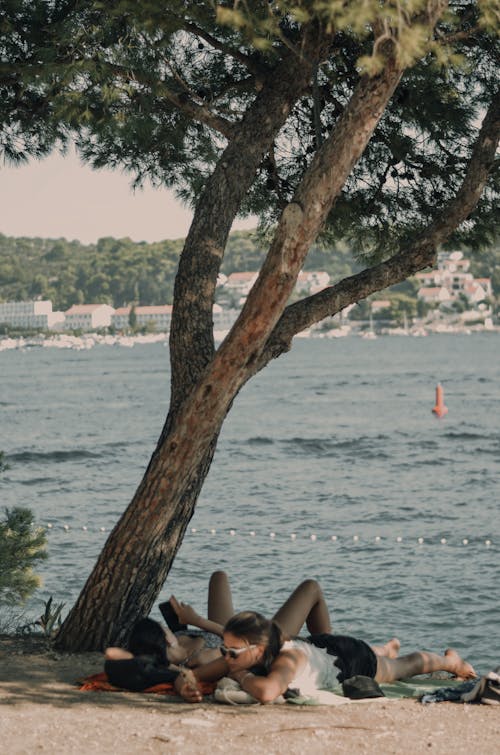 Foto profissional grátis de árvore, casal, descanso