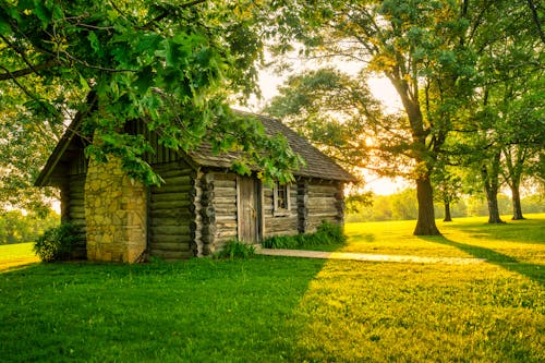 Wooden Cottage in Summer