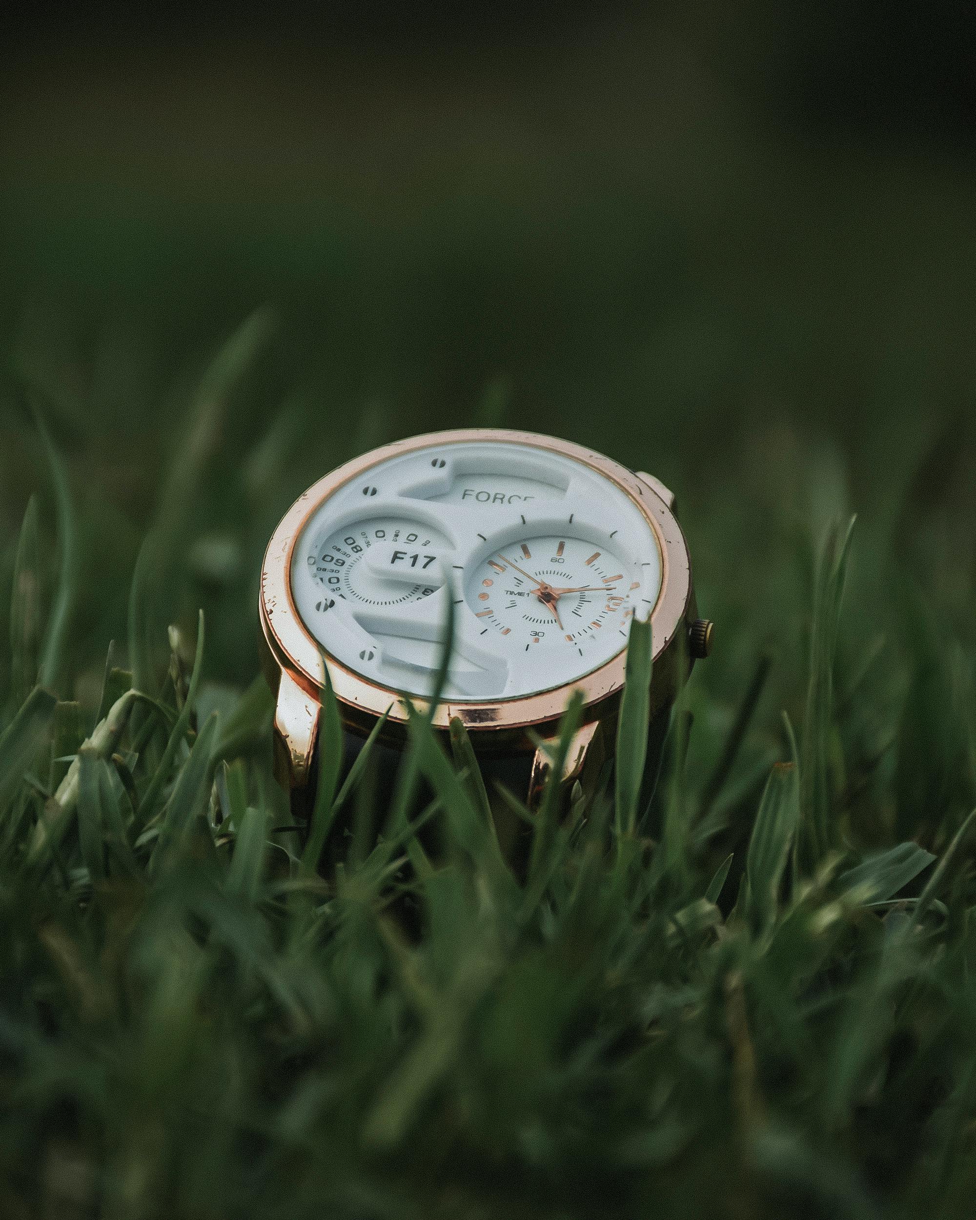 Vintage Pocket Watch in Male Hand on a Background of Green Grass. Steampunk  Watch. Sunny Summer Day. the Clock Mechanism is Stock Image - Image of  arrow, background: 148527263