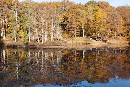 Arrondissement de Rambouillet