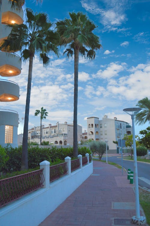 Palms in a Tropical Resort 