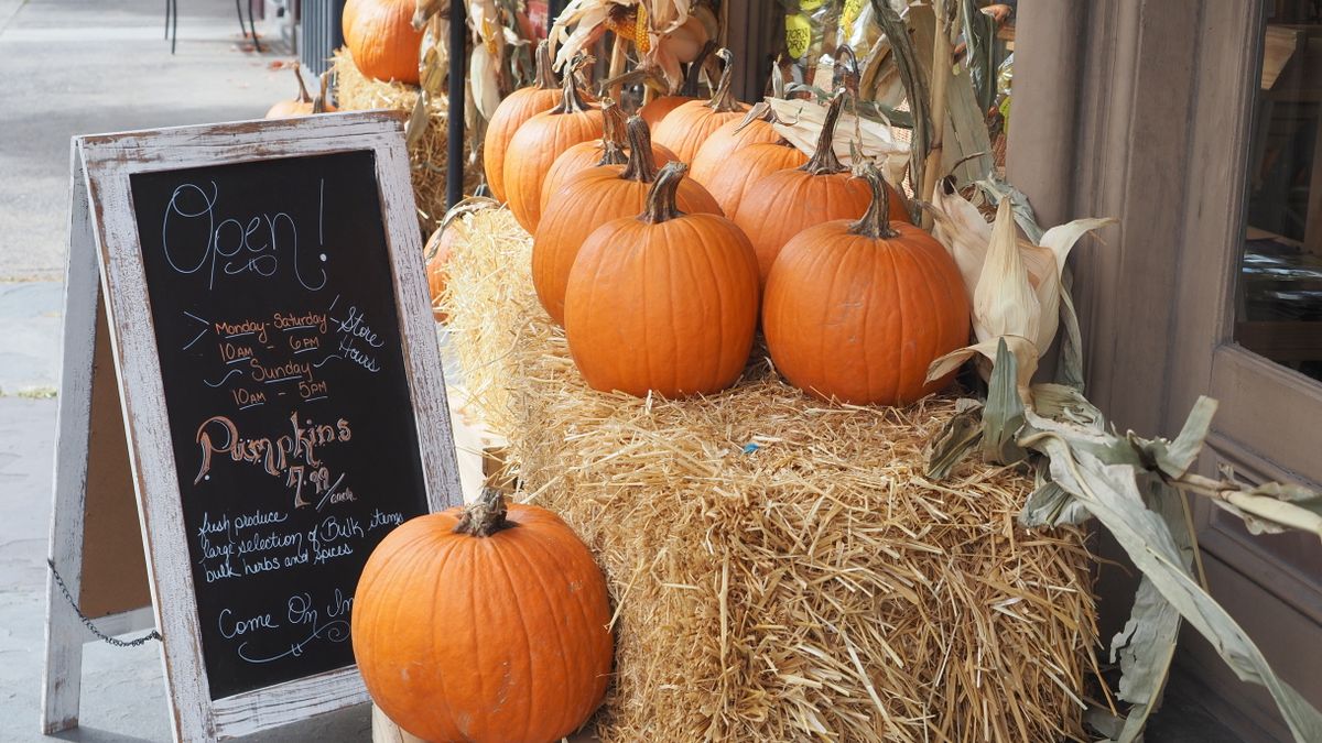 미국 추수감사절 연휴 — Charming street market with pumpkins in fall, Lahaska, PA.