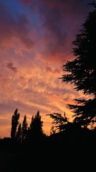 Stunning sunset with silhouette of trees against colorful sky, capturing rural tranquility.