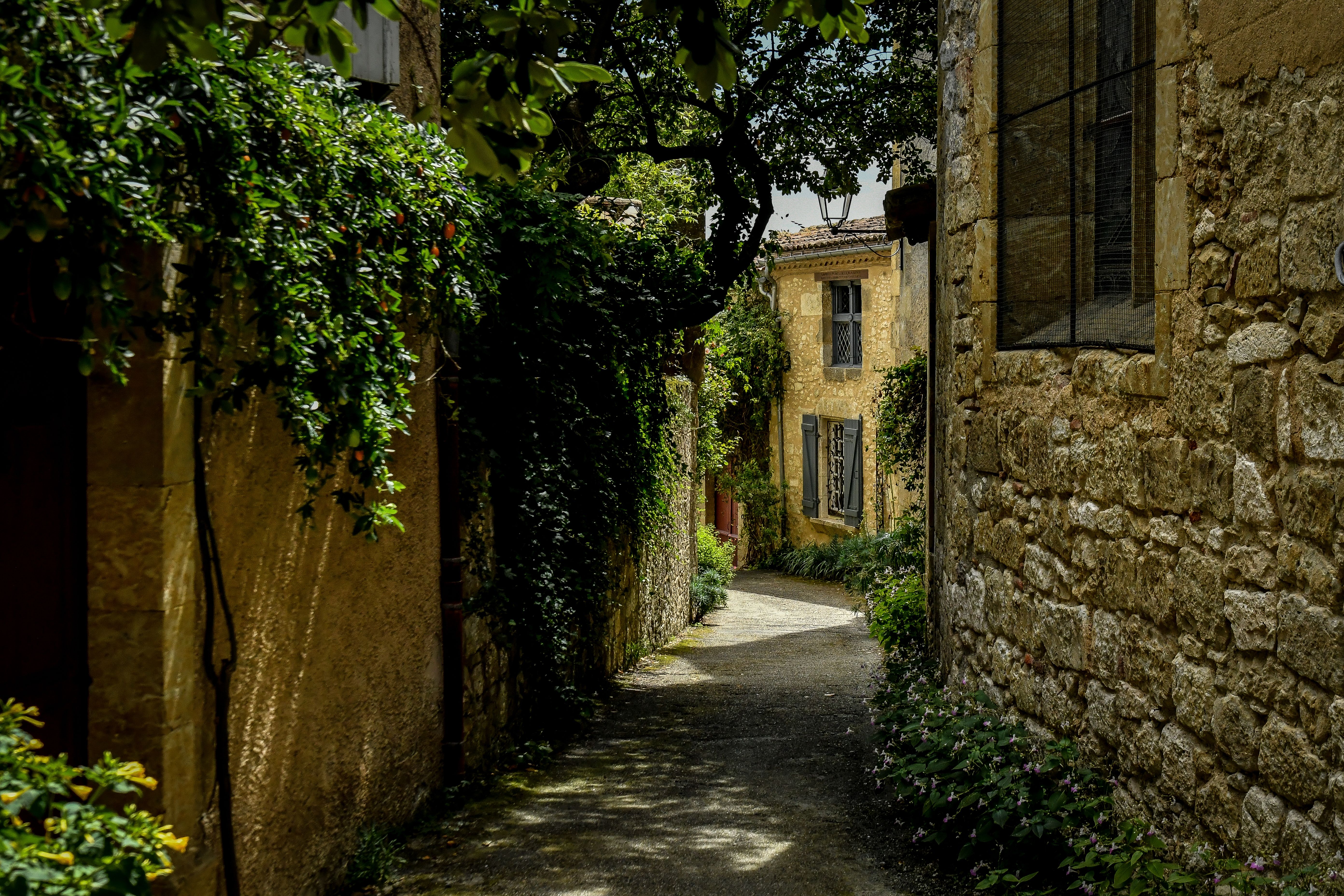 Picturesque stone alley in Lavardens, Occitanie, with ivy-covered walls and rustic charm.