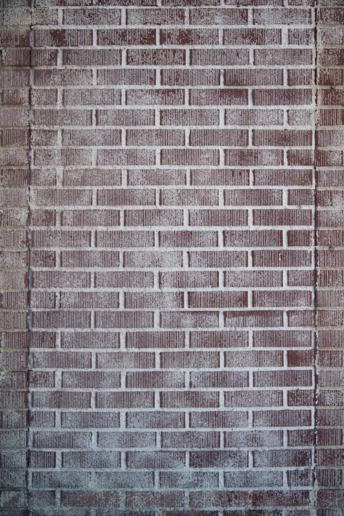 Brick Wall on a Street