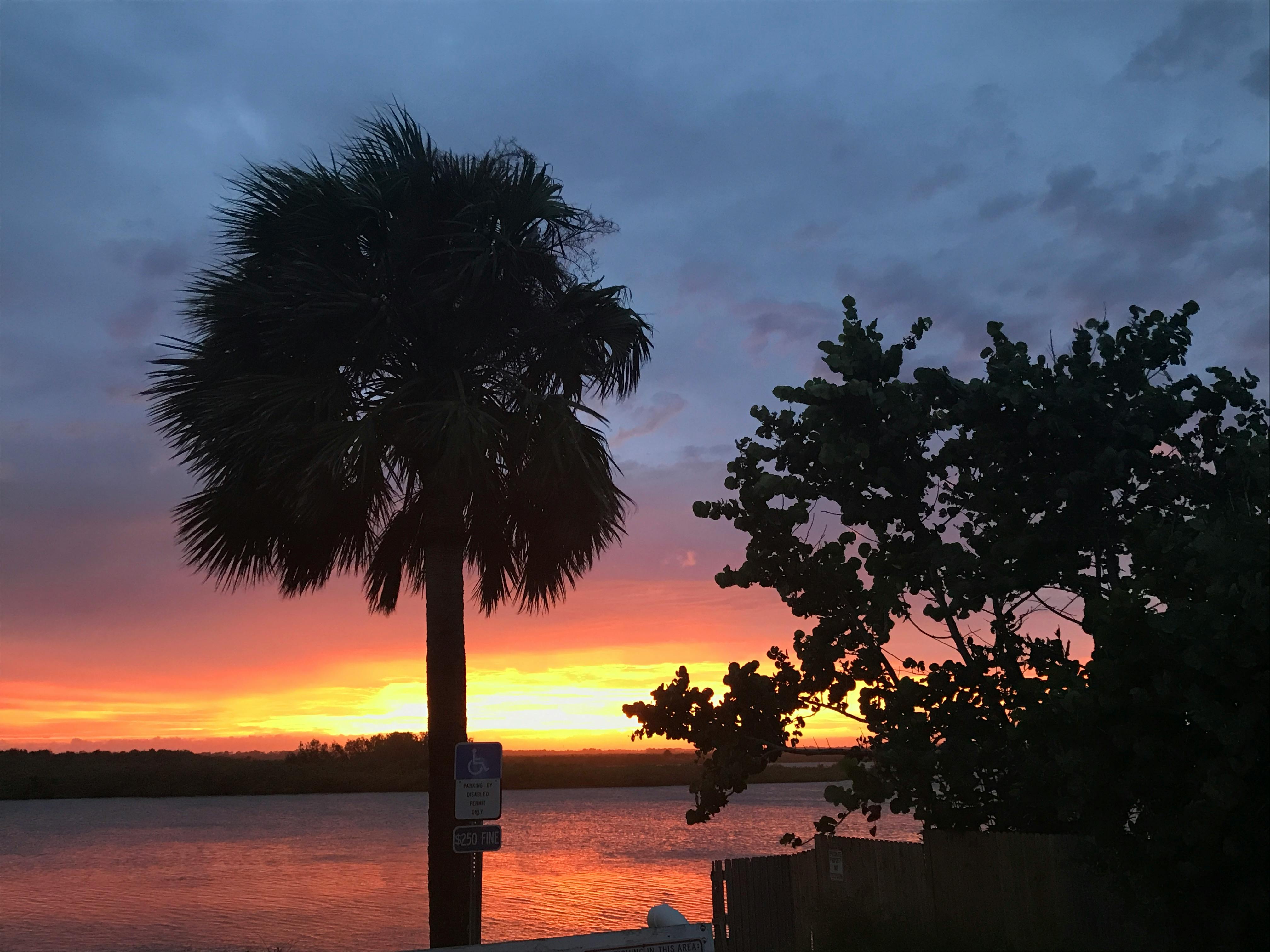 Free stock photo of sunset intercoastal blue yellow red sky palm trees