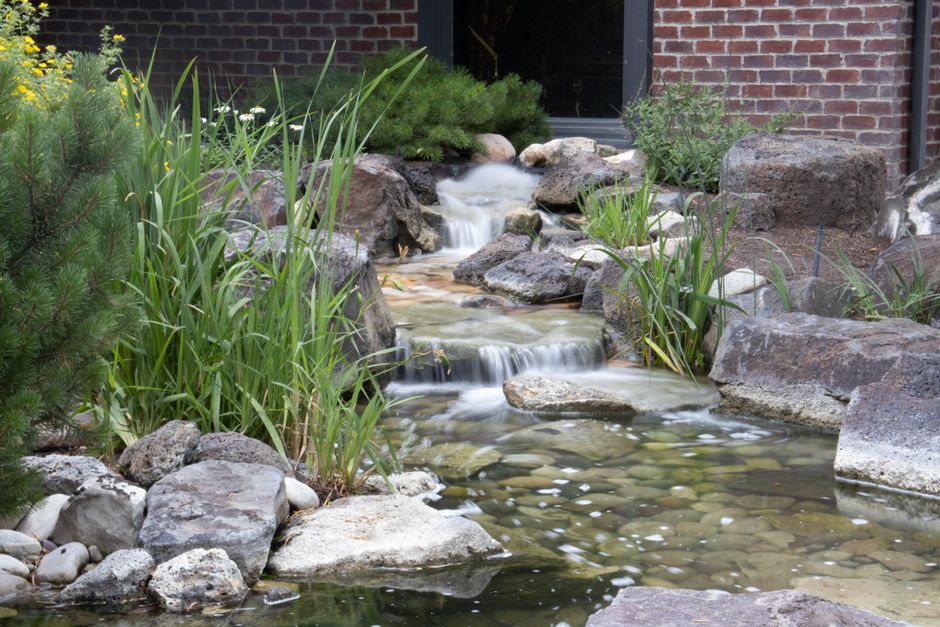 water pond features for backyard oasis