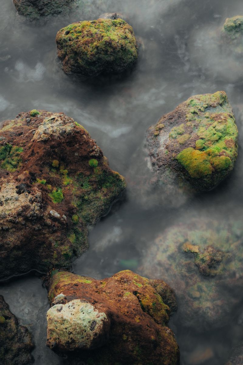 A serene view of mossy rocks partially submerged in sea water, creating a tranquil coastal ambiance.