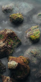 Image by Osmany Mederos
