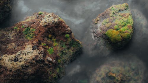 Rocks in Moss