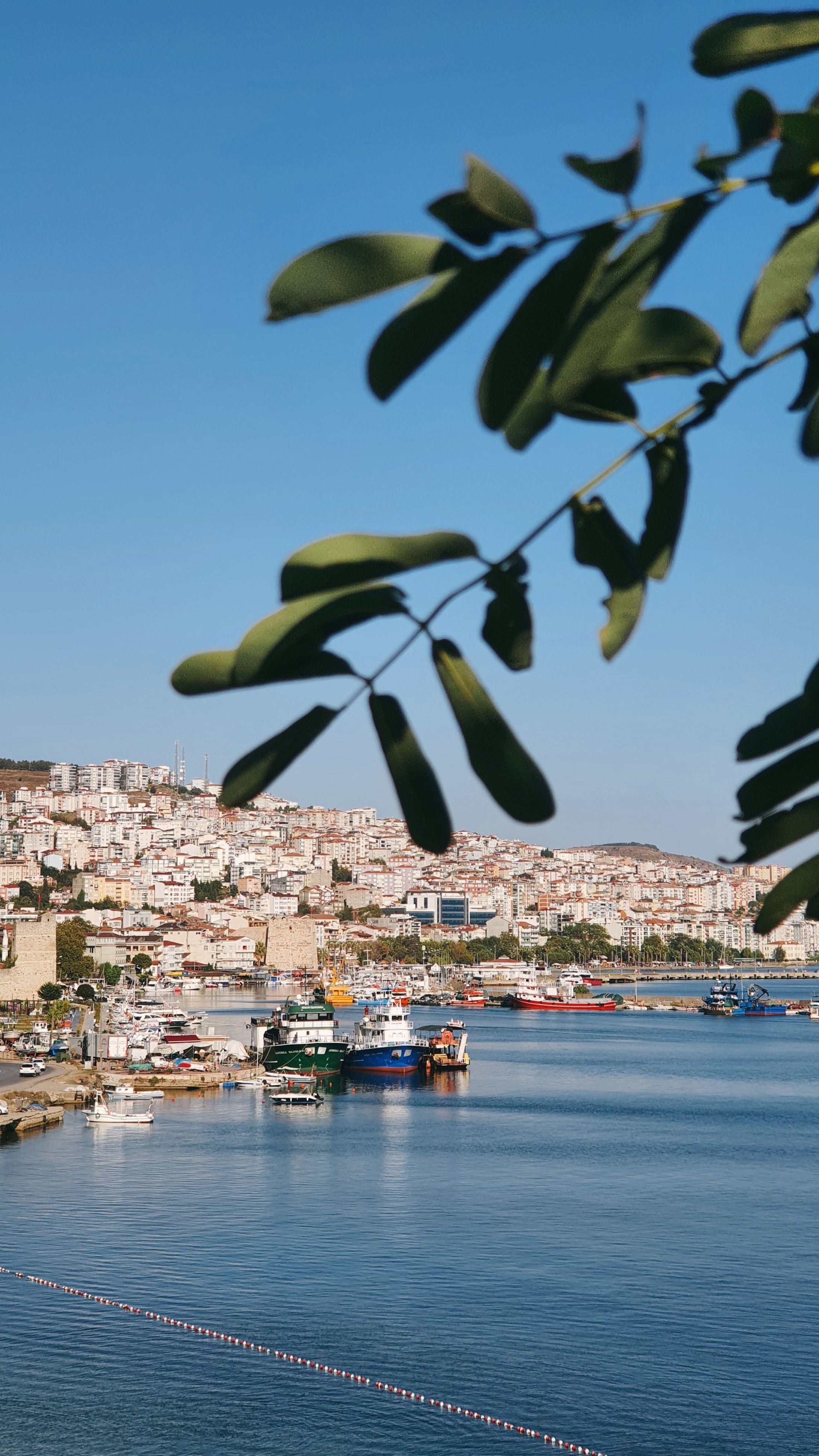 A beautiful cityscape with moored boats in a harbor under a clear blue sky, framed by greenery.