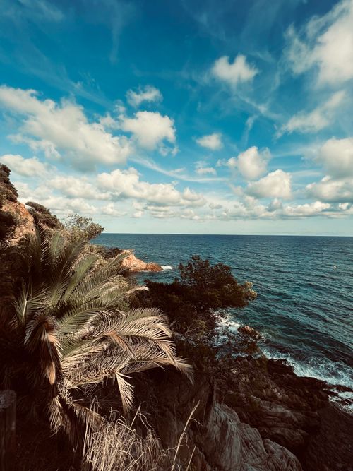 Free Breathtaking coastal view with rocky cliffs, palm trees, and a vibrant sky. Stock Photo