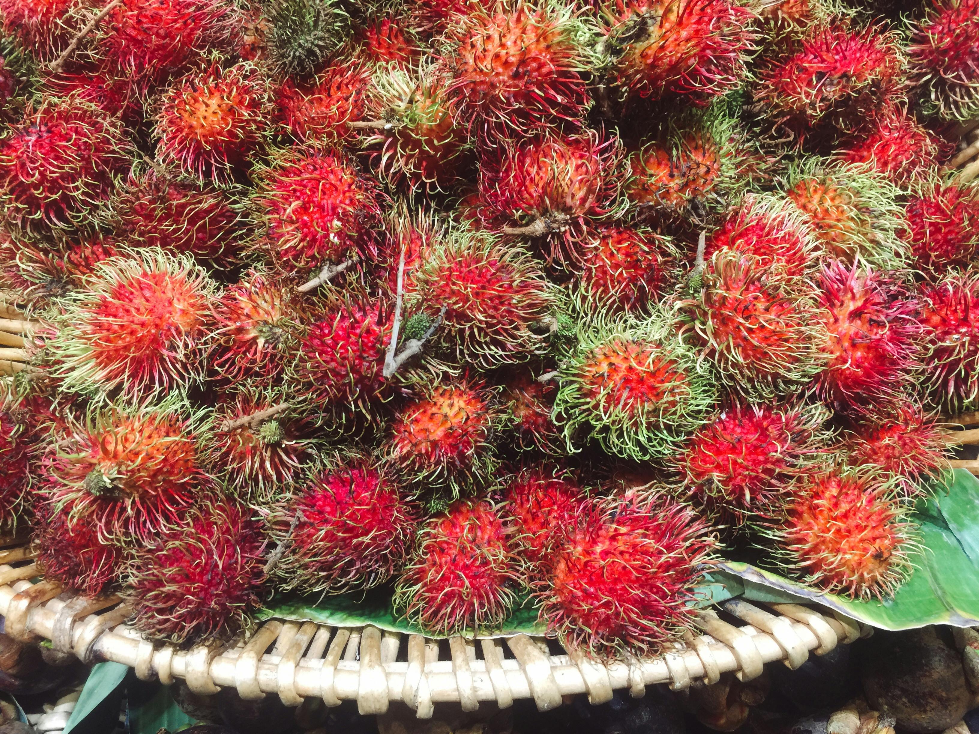 Foto Stok Gratis Tentang Buah Merah Rambutan