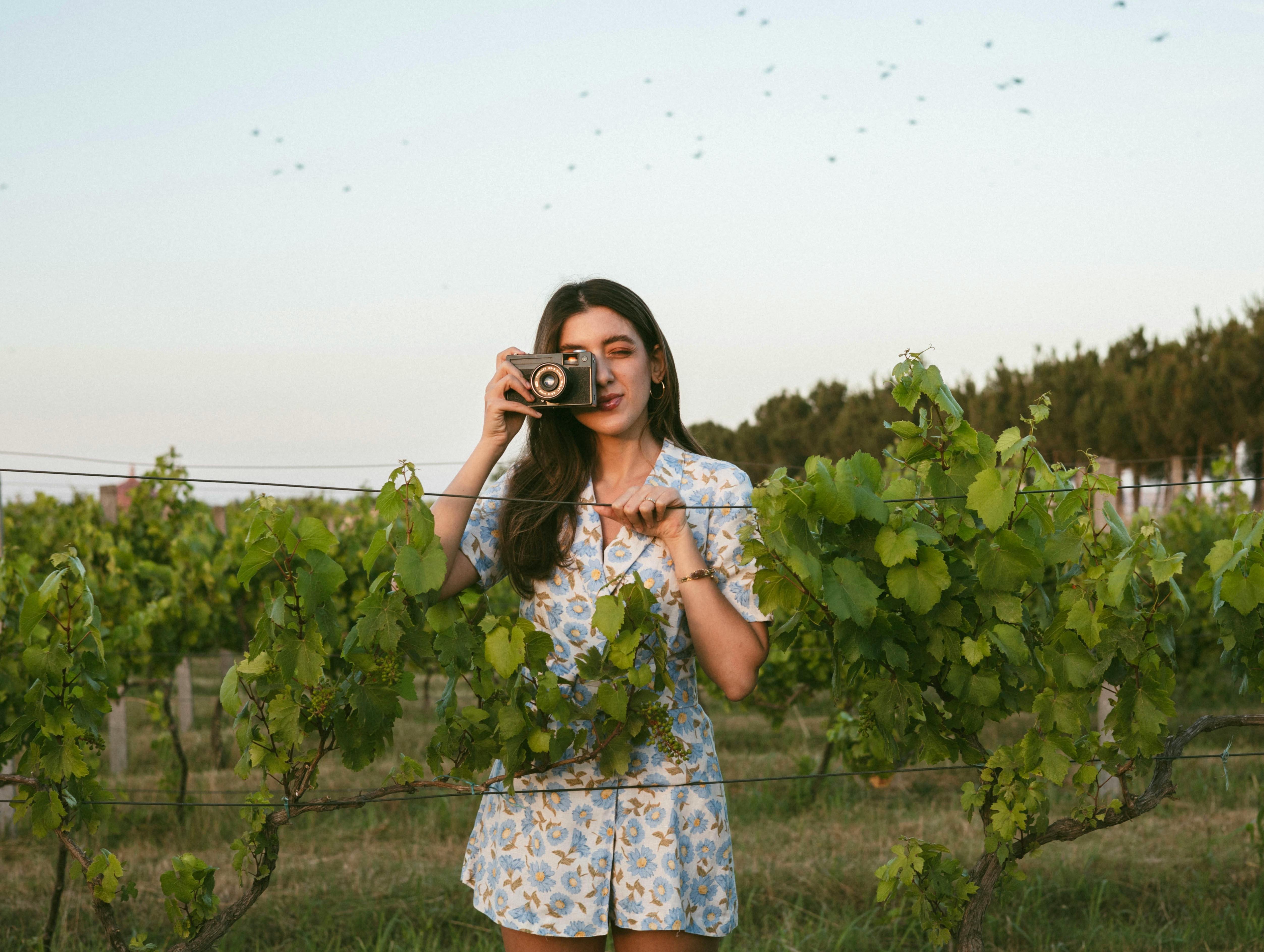 A young woman capturing photos with an analogue camera in a sunny vineyard in Baku, Azerbaijan.