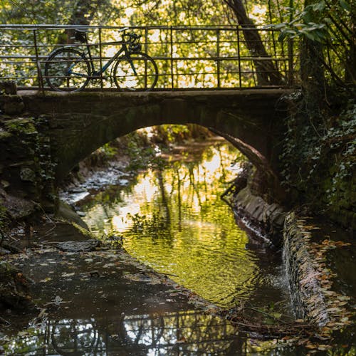 Kostnadsfri bild av bäck, cykel, flod