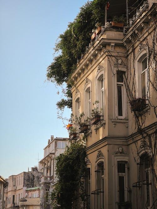 Free Traditional Townhouse with Climbing Plants on the Facade  Stock Photo