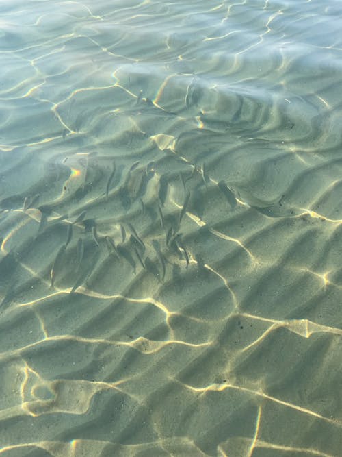 Sunlight Reflecting in Transparent Water