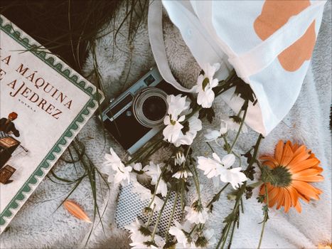 A flat lay of a vintage camera with daisies and a book on a blanket.