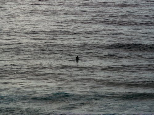 Ilmainen kuvapankkikuva tunnisteilla aallot, henkilö, meri
