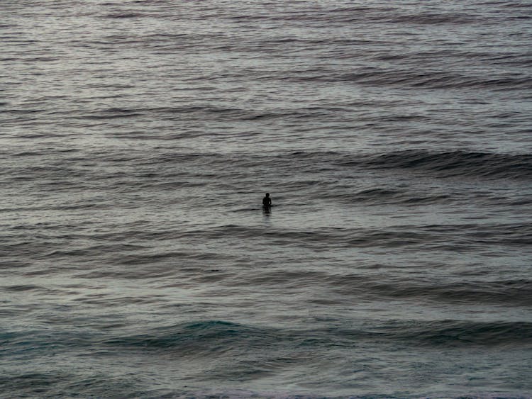 Person In Sea