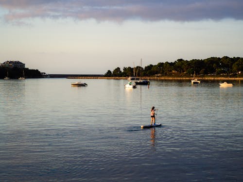 คลังภาพถ่ายฟรี ของ paddleboarding, การท่องเที่ยว, การยืน