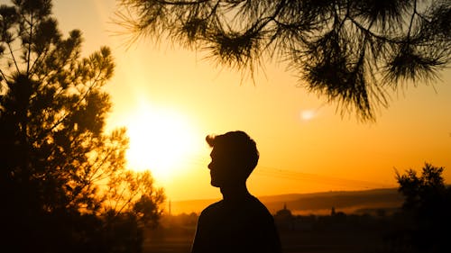 Free Silhouette of a Man at Sunset Stock Photo