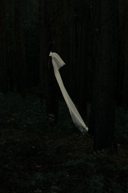 A long piece of white fabric mysteriously hangs in a dimly lit forest scene.