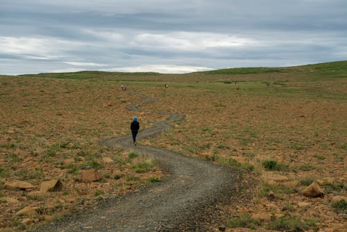 Immagine gratuita di camminando, campo, colline