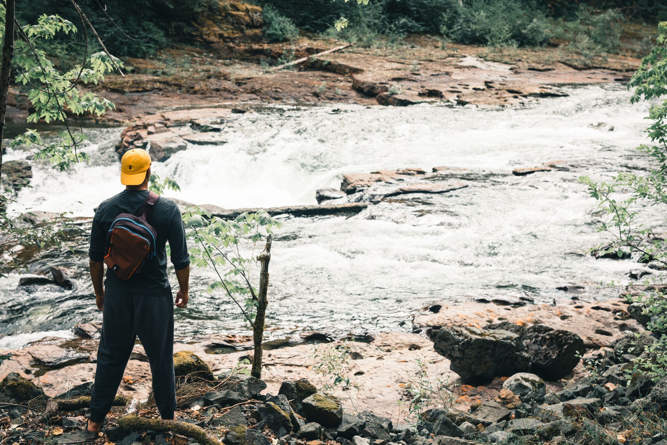 Stamp River Provincial Park · Free Stock Photo