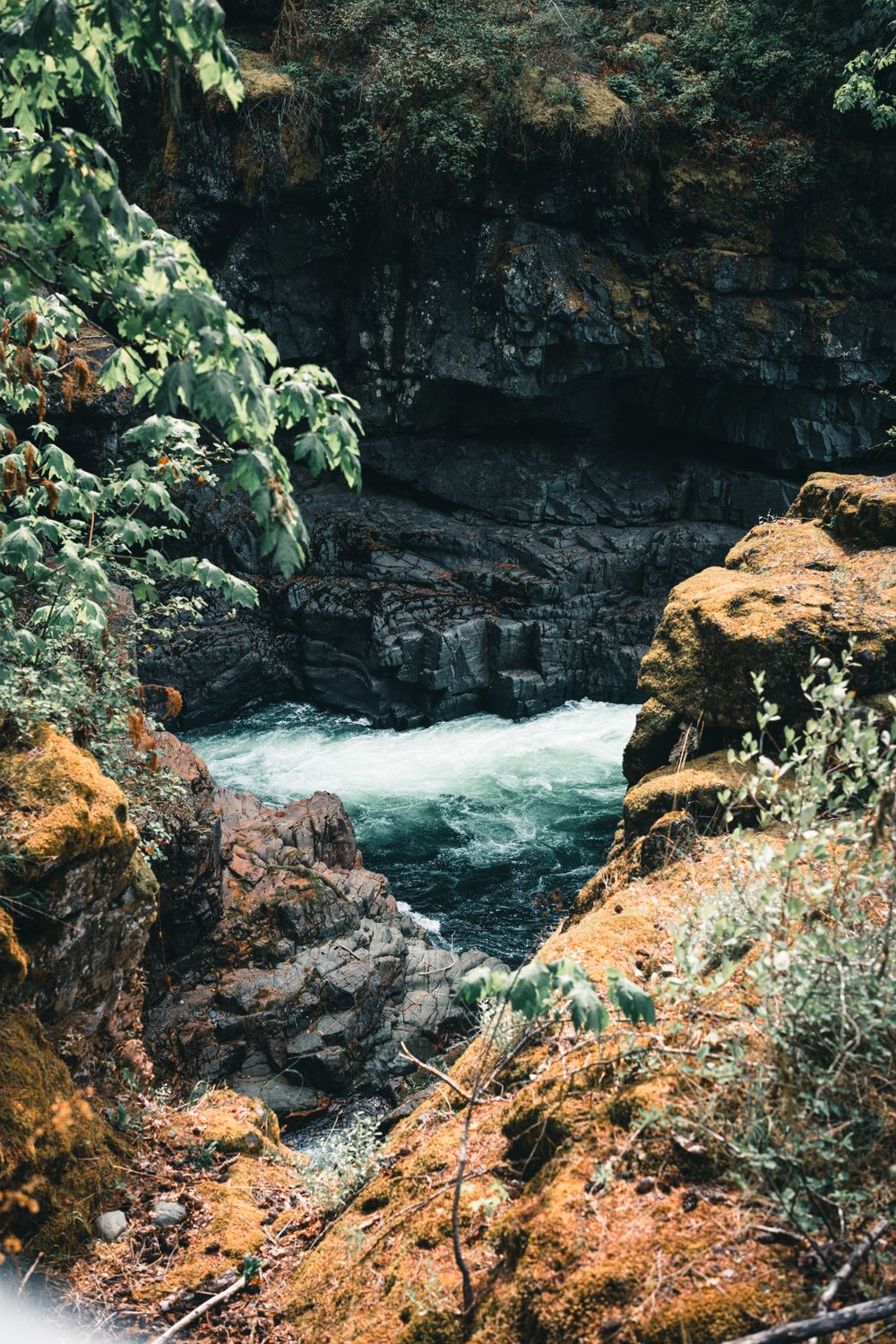 Stamp River Provincial Park · Free Stock Photo