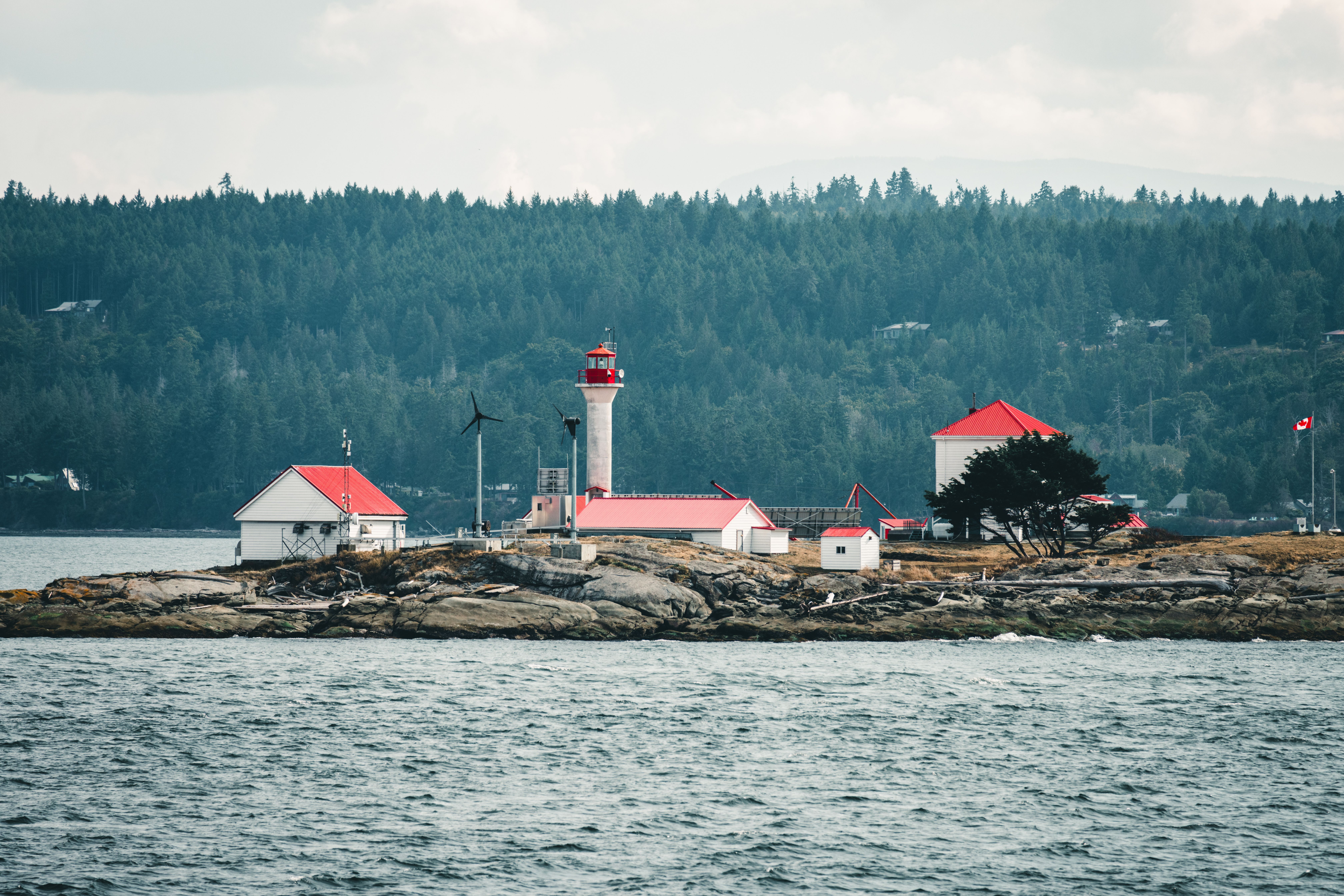 Digges Island Shoreline view 3