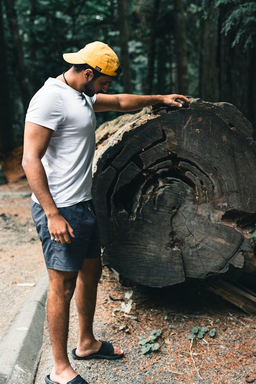 Free Man with a Tree Trunk in a Forest  Stock Photo