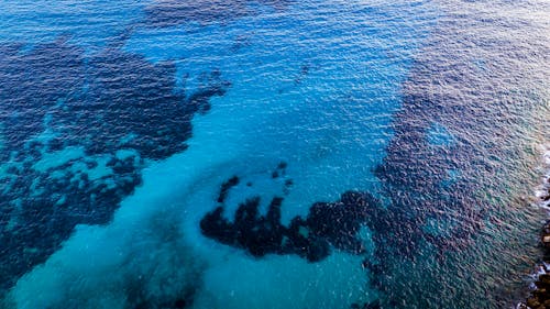 Free view of blue transparent water sea from a drone Stock Photo