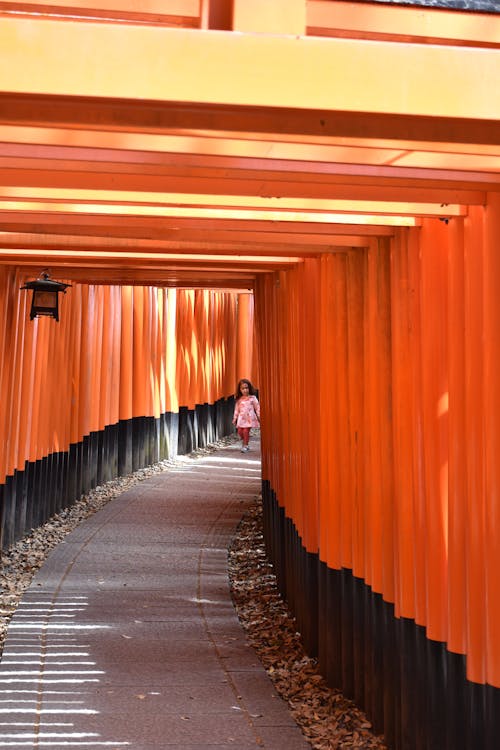 Ilmainen kuvapankkikuva tunnisteilla Aasia, japani, katukiveys