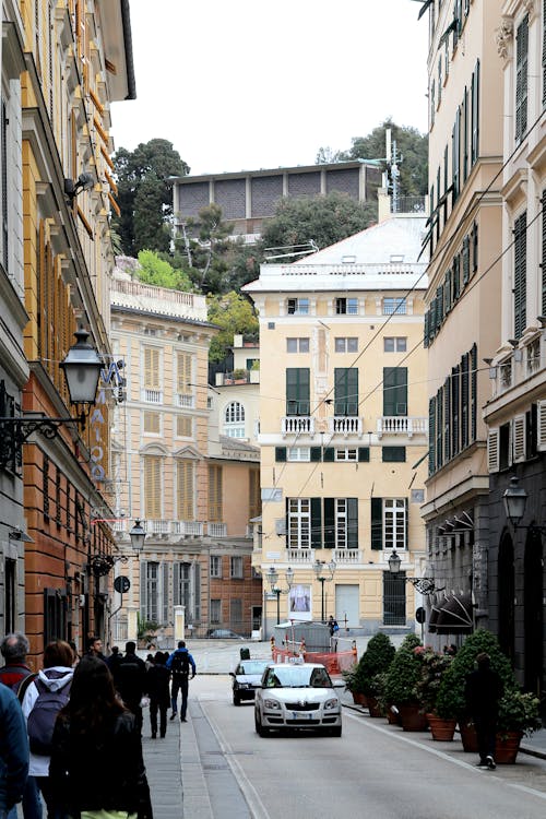 Gratis stockfoto met auto's, galerij, genua