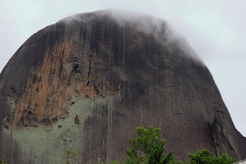 Foto profissional grátis de largato, neblina, pedra