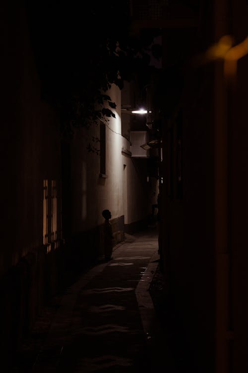 Narrow Alley in the Dark 