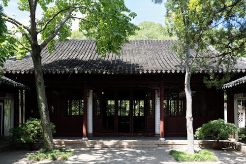 Imagine de stoc gratuită din arbori, arhitectura chineză, călătorie