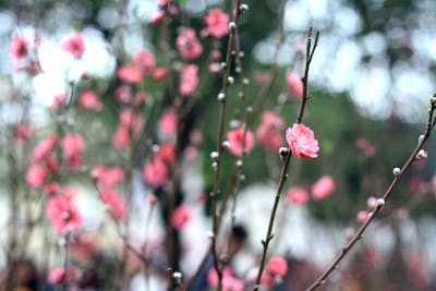 适合放烟花发朋友圈的句子 适合放烟花发朋友圈的句子图片