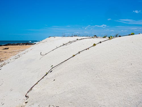 View of a Dune on the Beach and Sea in the Background