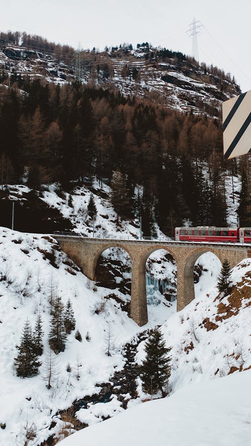 Rail Bridge in Winter