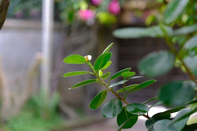 念伤感的句子 无尽的思念伤感的句子