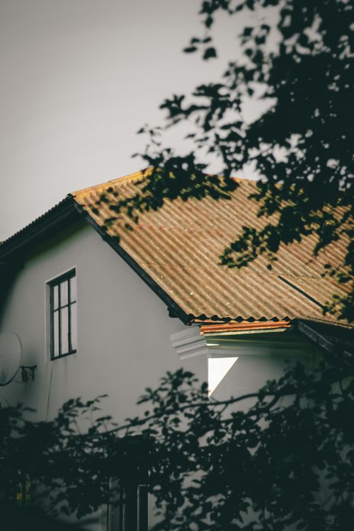 Free A scenic view of a rustic house surrounded by trees, located in Terebovlia, Ukraine. Stock Photo