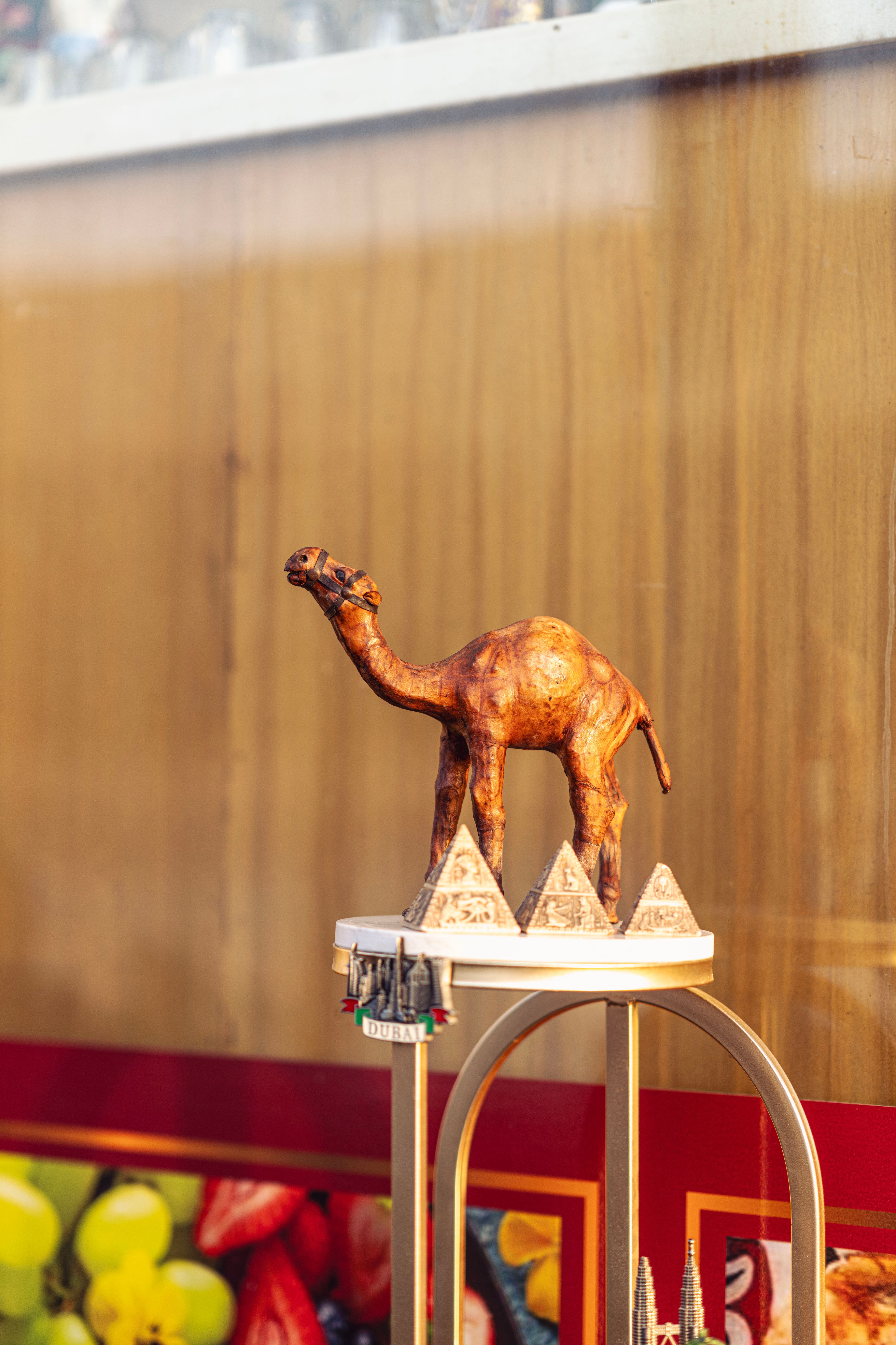 Close up of a Camel Figurine · Free Stock Photo