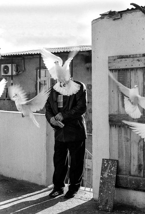 Pigeon Fancier with Face Obscured by a Pigeon in Flight