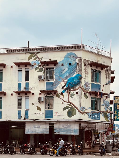 Mural of Birds on Wall