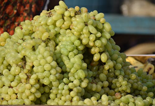 Foto d'estoc gratuïta de clúster, fotografia d'aliments, fruita