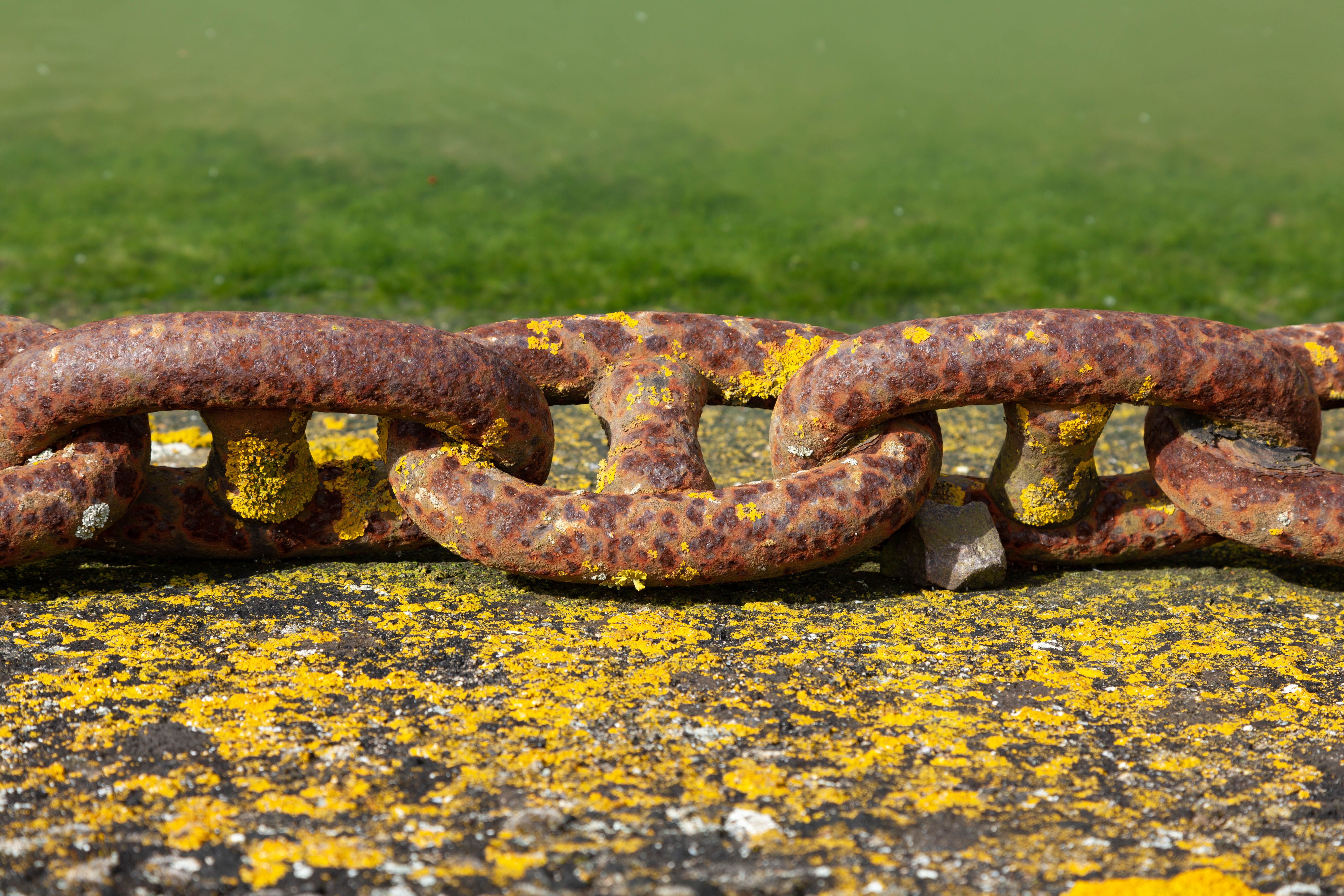 How AI will redefine compliance, risk and governance in 2026 - — Photo by PHILIPPE SERRAND on Pexels