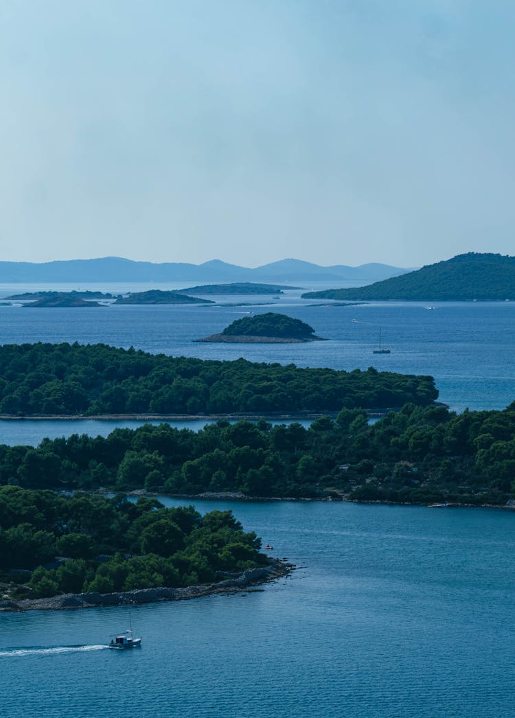 Forest On Islands On Sea Coast